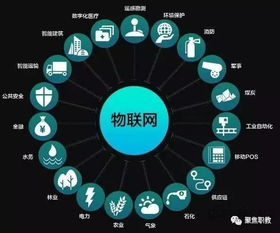 未來10年，職校生在網絡技術服務領域的廣闊前景與發展路徑